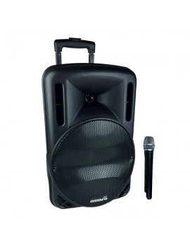 SESLENDİRME SİSTEMLERİ